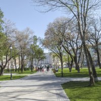 Аллея в парке Тренёва :: Валентин Семчишин