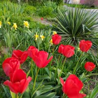 Апрель :: Татьяна Пальчикова Апрель :: Татьяна Пальчикова