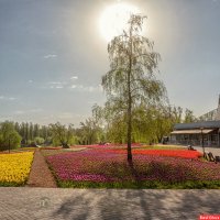 Апрельское солнце :: Игорь Сарапулов