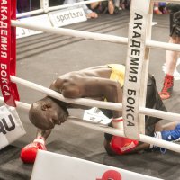 Его Величество Бокс :: Юрий Яньков Его Величество Бокс :: Юрий Яньков