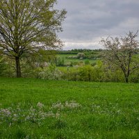 Весенний пейзаж. :: Lucy Schneider 