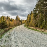 Весна :: Владимир Колесников