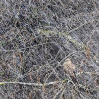 ну и погодка... :: Осень 