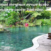 Бассейнчик практически в джунглях :: svk *