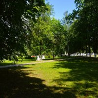 Чебоксары. Липы в Студенческом сквере летом. :: Пётр Чернега