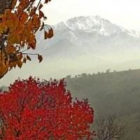 БОЛЬШОЙ ЧИМГАН, 3300м, вид со стороны. :: Виктор Осипчук