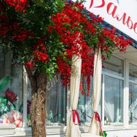 Магазинчик цветов :: Светлана Мишенёва