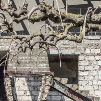 Классическая архитектура соцлагеря :: Коля Лукашов