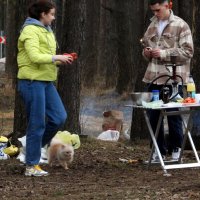Весенний позитив :: Юрий Велицкий