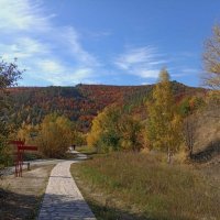 Солнечный, осенний денёк в Жигулях! :: Надежда 