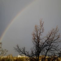 Regenbogen :: Maria Rainer