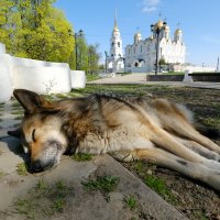 Тихий час :: Андрей Зайцев