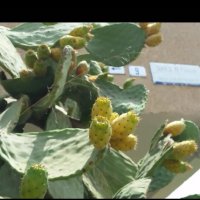 111 (34) :: СТРЕН 