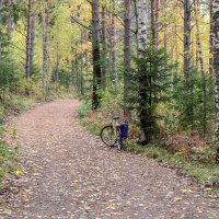 Финляндия :: skijumper Иванов