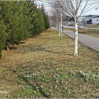 Вечер четверга... :: Aquarius - Сергей