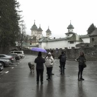 ** :: Александр Липовецкий