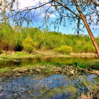 Природа речки Свинцовки. :: Восковых Анна Васильевна 