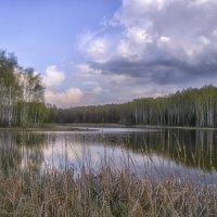 Апрель на озере :: Сергей Цветков