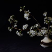 Белым по черному. :: Николай 