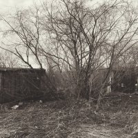 Название отсутствует :: Денис Безногов