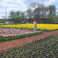 ,,, :: Сергей Тимоновский