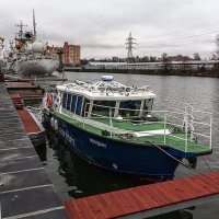 Калининград :: Дмитрий 