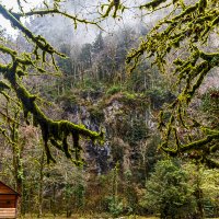 Избушка :: Eugene *