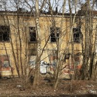 *** :: Наталья Герасимова