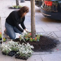 ВЕСЕННИЕ ХДОПОТЫ :: Виктор Никитенко