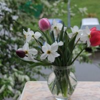 Апрель. :: Венера Чуйкова Апрель. :: Венера Чуйкова