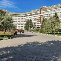 Весеннее утро :: Валерий Судачок