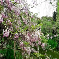 ЧЕРЕПАШЬЕ ОЗЕРО :: Tata Wolf