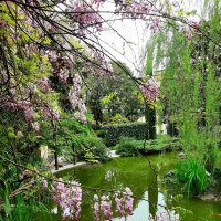 ЧЕРЕПАШЬЕ ОЗЕРО :: Tata Wolf