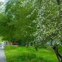 Прогулки по парку.... :: Referee (Дмитрий)