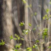 ___ :: Yuriy V ___ :: Yuriy V