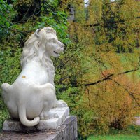 Павловск :: skijumper Иванов Павловск :: skijumper Иванов