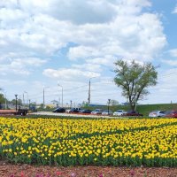 ,,, :: Сергей Тимоновский