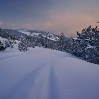 * :: Александр Иванов