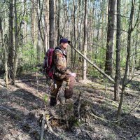 В весеннем лесу :: Денис Бочкарёв