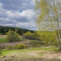 Зелёный апрель... :: Владимир Жданов