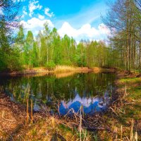 Озеро у дороги :: Андрей Сосновский