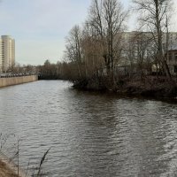 р. Охта :: Наталья Герасимова