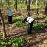 Девочки фотографируют цветы :: Александр Синдерёв