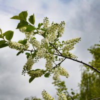 "Виновница" похолодания :: Oleg4618 Шутченко "Виновница" похолодания :: Oleg4618 Шутченко