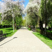 О Смоленске :: Милешкин Владимир Алексеевич 