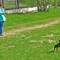 На церковном холме с забавной собачкой :: Владимир На церковном холме с забавной собачкой :: Владимир