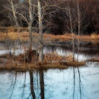 Вешние воды :: Людмила Фил