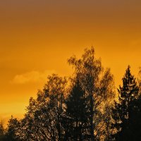 На закате :: Светлана На закате :: Светлана