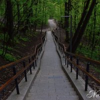 *** :: Наталья Вязигина