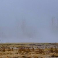 Пар из-под земли :: Георгий А